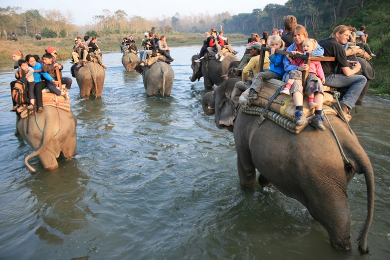 chitwan national park Top 10 Travel Destinations in Nepal