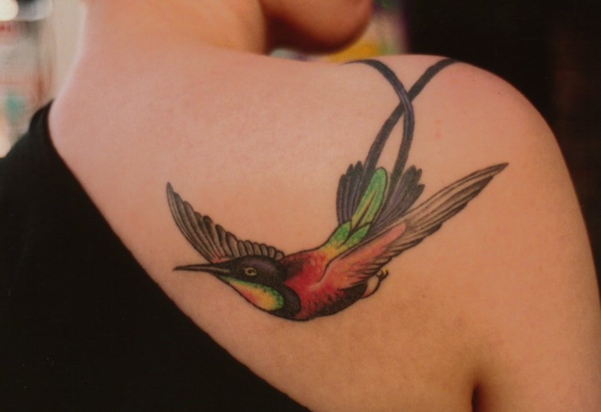 1. Hummingbird