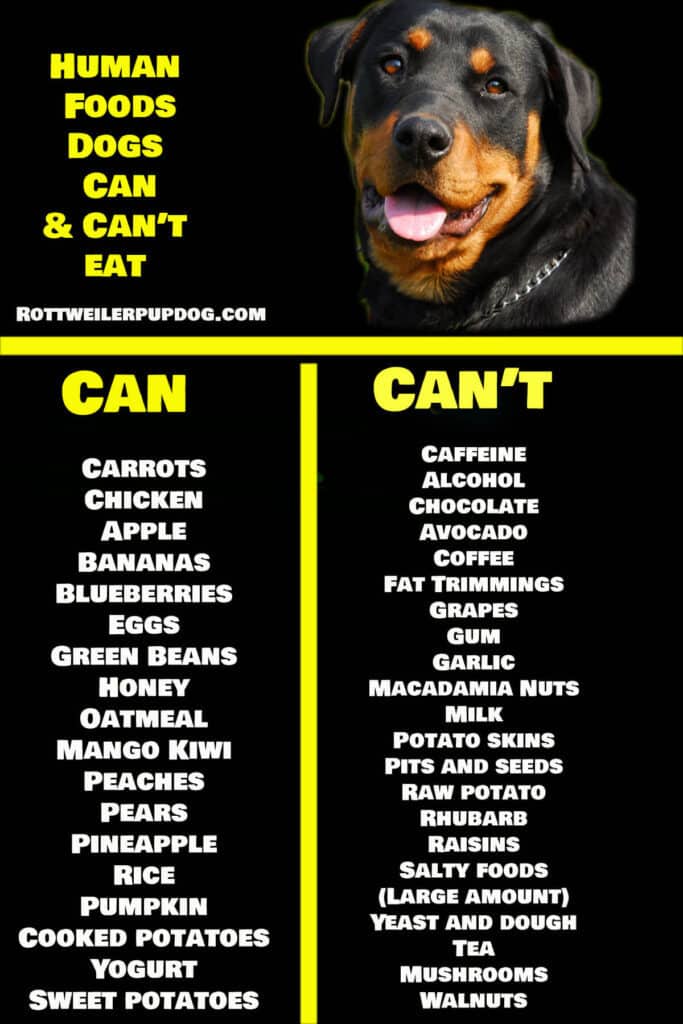 Healthy Diet For Your Rottweiler
