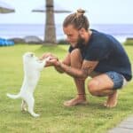 Benefits of Playing With Your Dog