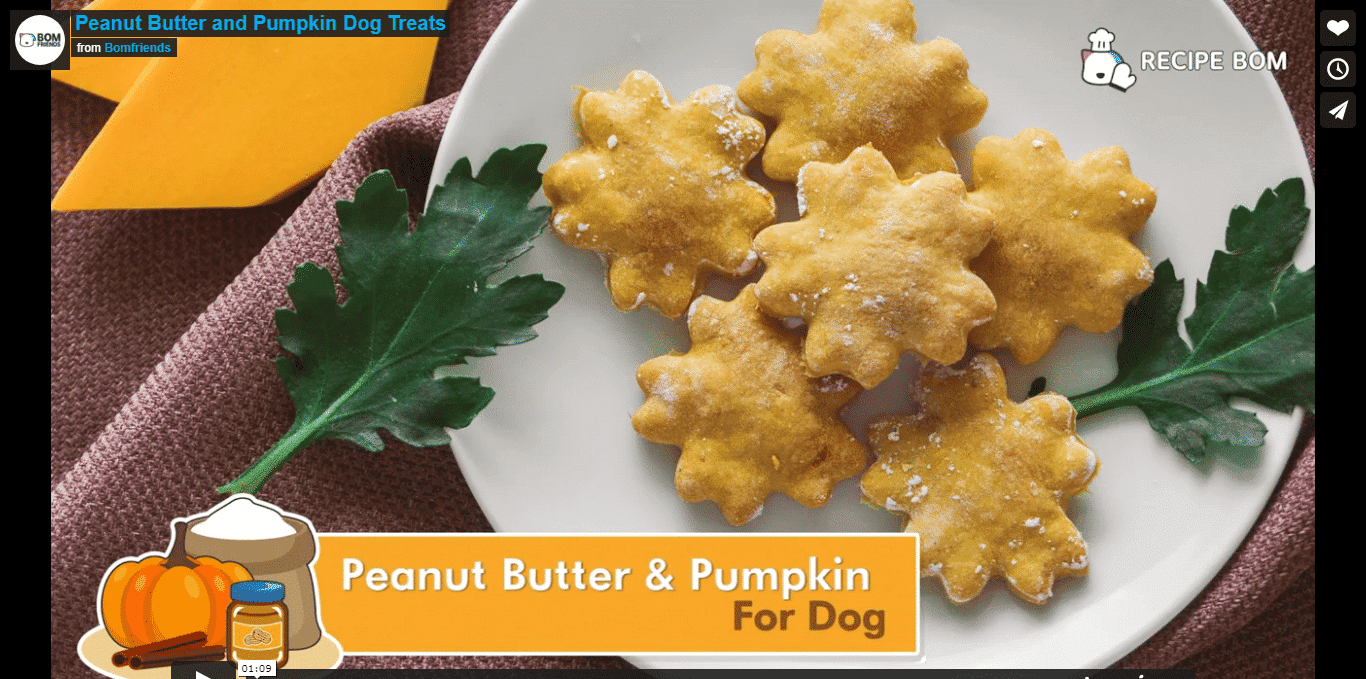 pumpkin peanut butter dog treats recipe